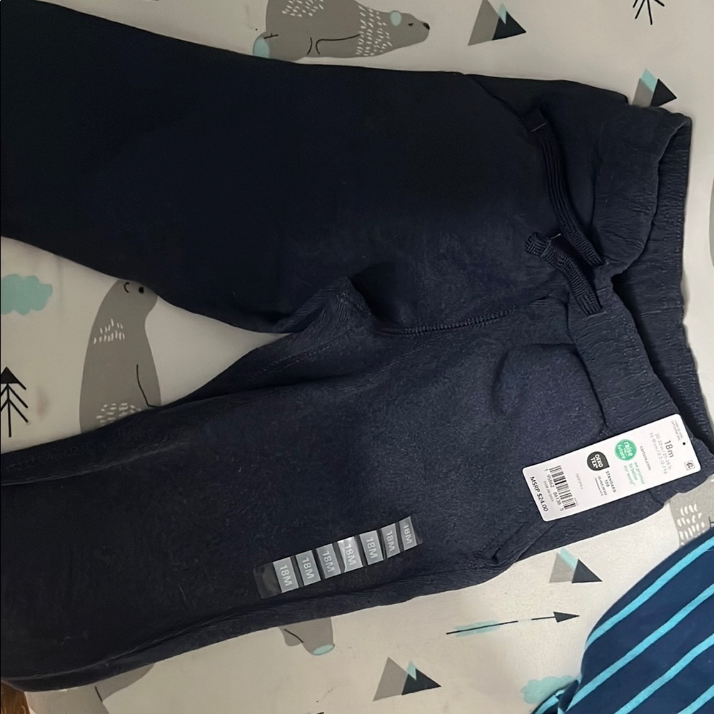 Carter's Blue fleece Sweatpants